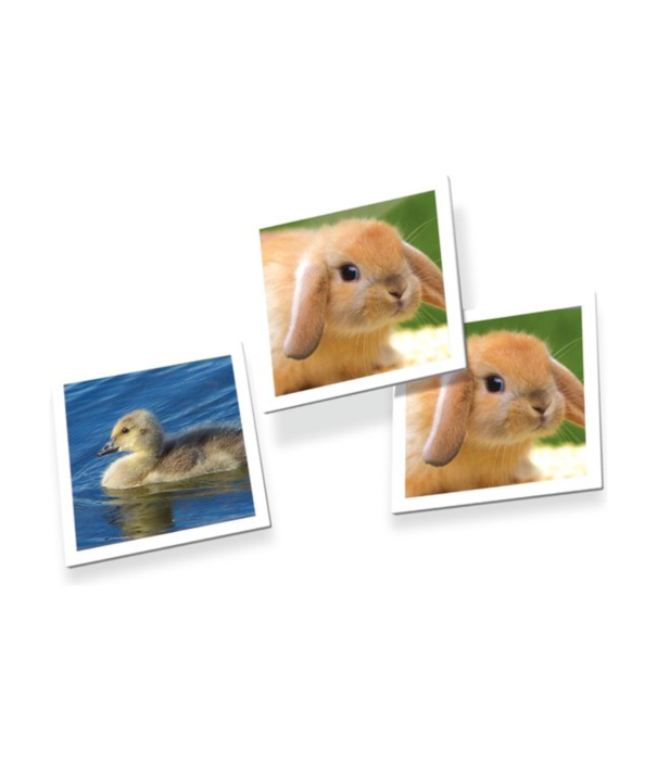 Tactic Tactic - Memo Babydieren