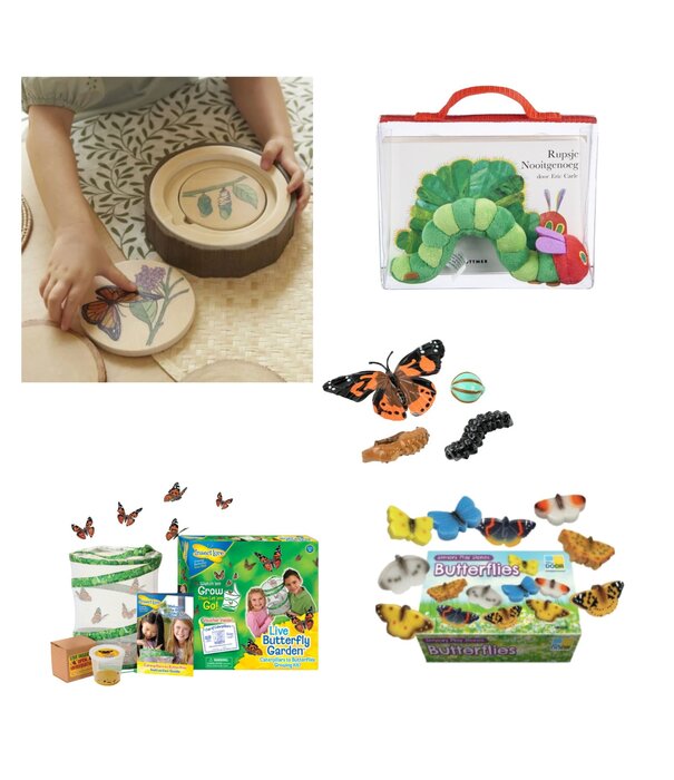 JUTTER & Co. JUTTER & Co. || Ready to Play Speelpakket - Van Rups naar Vlinder Pakket