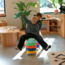 JUTTER & Co. || Ready to Play Speelpakket -  Beweeg & Balanceer Pakket