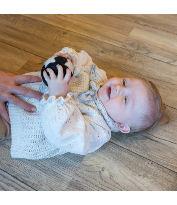 JUTTER & Co. JUTTER & Co. || Ready to Play Speelpakket - Baby Tijgeraar- Kruiper & Zitter