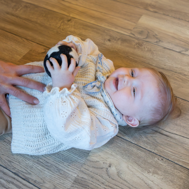 JUTTER & Co. || Ready to Play Speelpakket - Baby Tijgeraar- Kruiper & Zitter