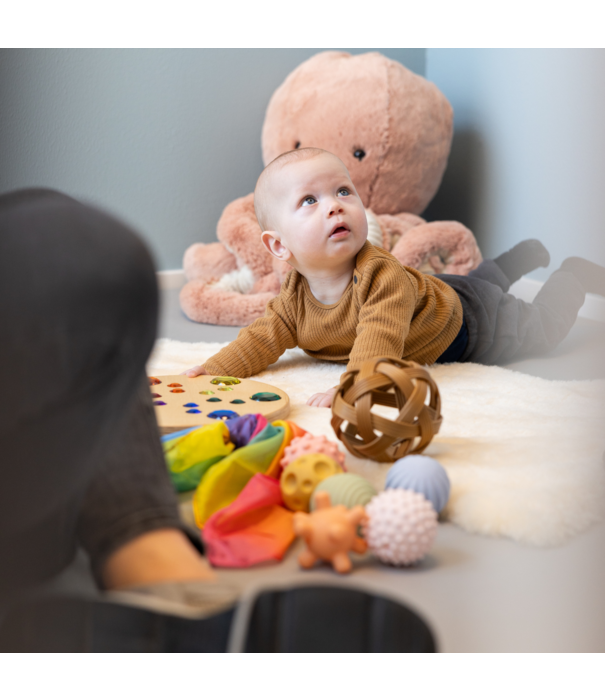 JUTTER & Co. JUTTER & Co. || Ready to Play Speelpakket - Baby Tijgeraar- Kruiper & Zitter