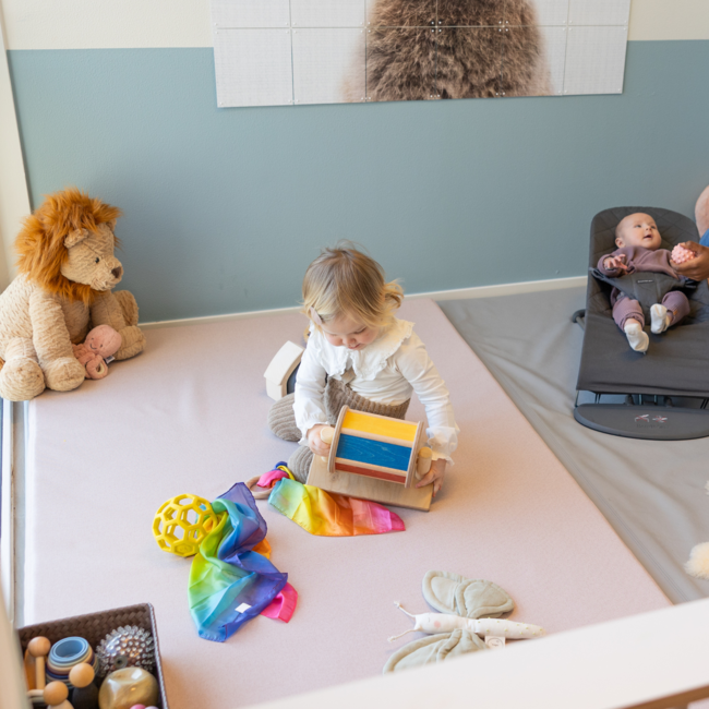 JUTTER & Co. || Ready to Play Speelpakket - Baby Tijgeraar- Kruiper & Zitter