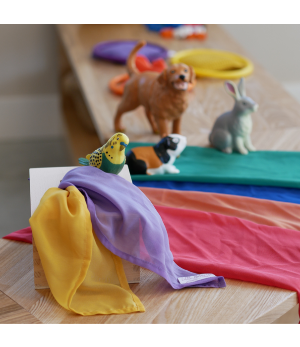 JUTTER & Co. JUTTER & Co. || Ready to Play Speelpakket - Dreumes Groot