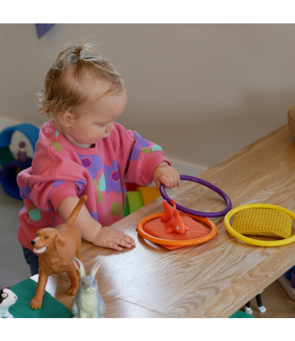 JUTTER & Co. JUTTER & Co. || Ready to Play Speelpakket - Dreumes Groot