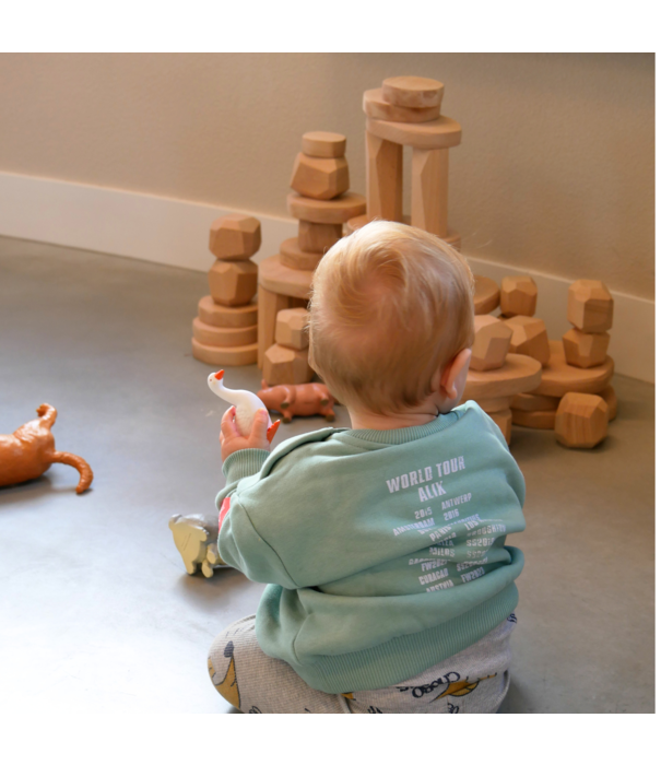 JUTTER & Co. JUTTER & Co. || Ready to Play Speelpakket - Safari Speelpakket