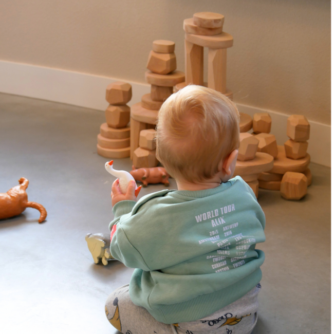 JUTTER & Co. || Ready to Play Speelpakket - Safari Speelpakket
