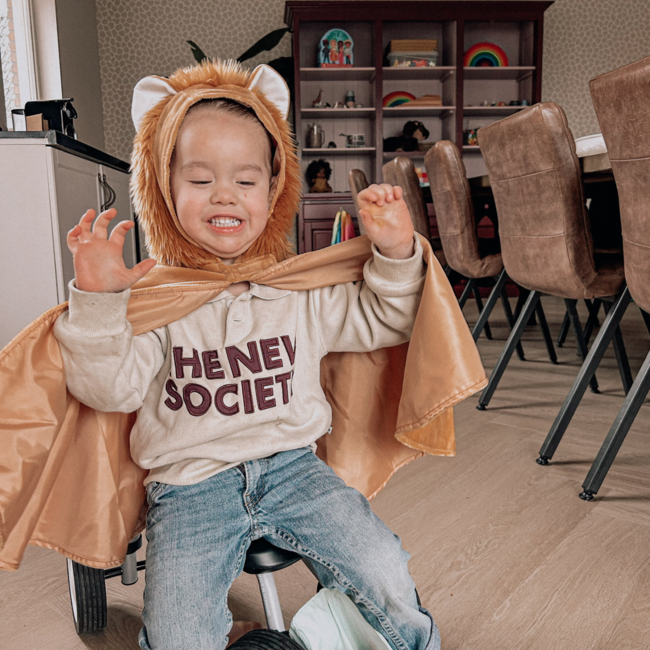 JUTTER & Co. || Ready to Play Speelpakket - Verkleed Pakket Peuters