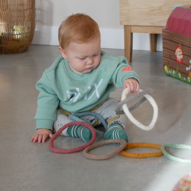 Papoose Toys - Vilten Ringen- Earth Felt (28-delig)