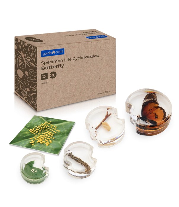 Guidecraft Guidecraft - Specimen Levenscyclus Puzzel - Vlinder