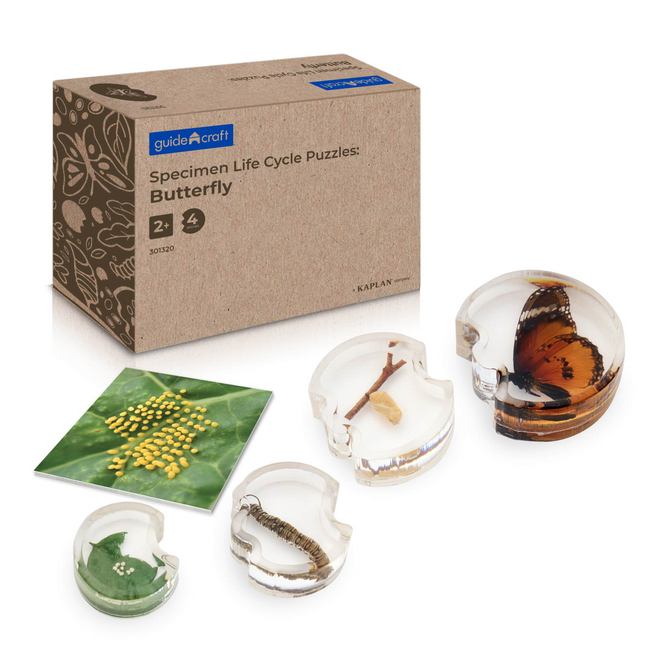 Guidecraft - Specimen Levenscyclus Puzzel - Vlinder