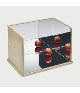 Houten Spiegelbox