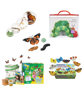 Ready to Play Speelpakket - Van Rups naar Vlinder Pakket