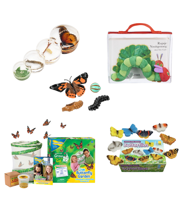 JUTTER & Co. JUTTER & Co. || Ready to Play Speelpakket - Van Rups naar Vlinder Pakket