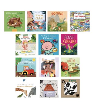 Ready to Play Speelpakket - Boekenpakket 1  0-4 jaar