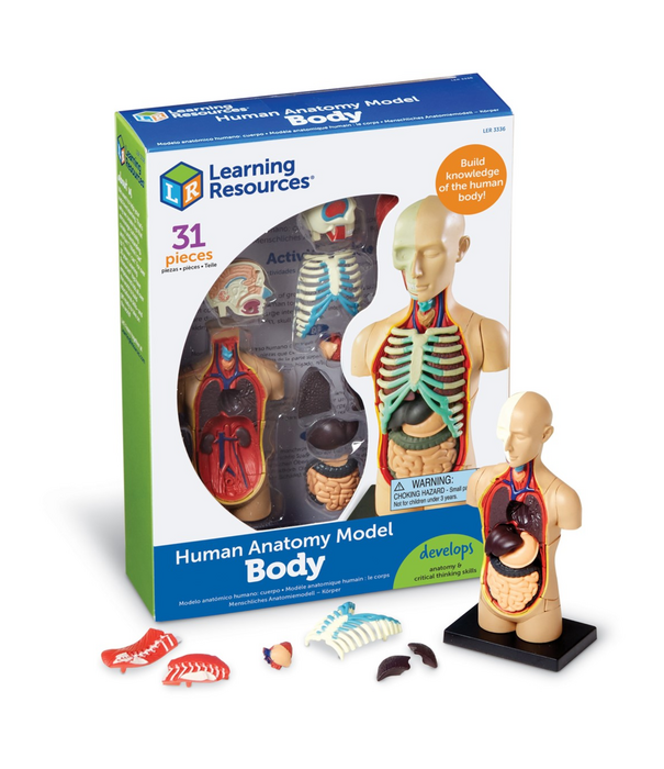 Learning Resources Learning Resources - Anatomisch Model Menselijk Lichaam