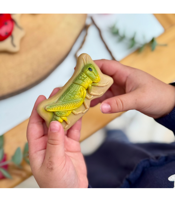 Yellow Door Yellow Door - Sensorische Speelstenen Insecten (12-delig)