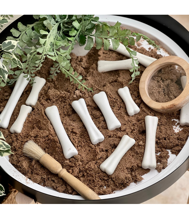 Yellow Door Yellow Door - Dinosaurus Botten (12-delig)