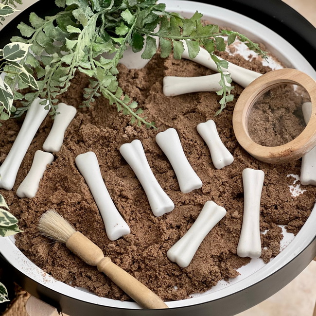 Yellow Door - Dinosaurus Botten (12-delig)