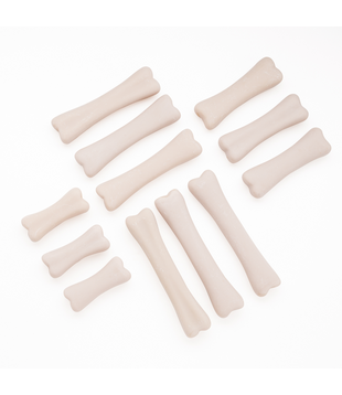 Dinosaurus Botten (12-delig)