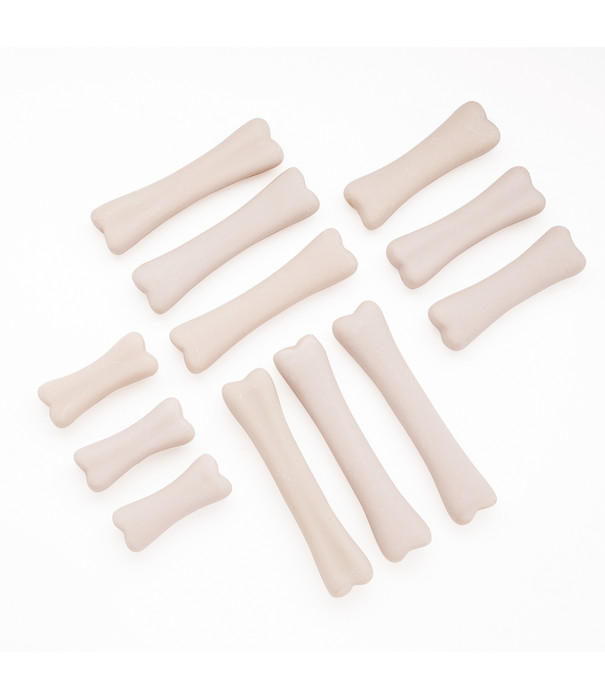 Yellow Door Yellow Door - Dinosaurus Botten (12-delig)