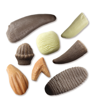 Prehistorische Tanden (8-delig)