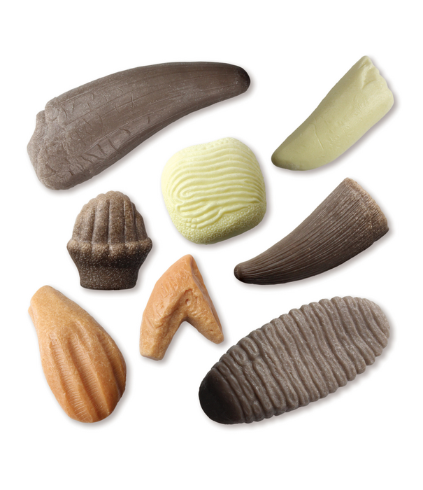 Yellow Door Yellow Door - Prehistorische Tanden (8-delig)