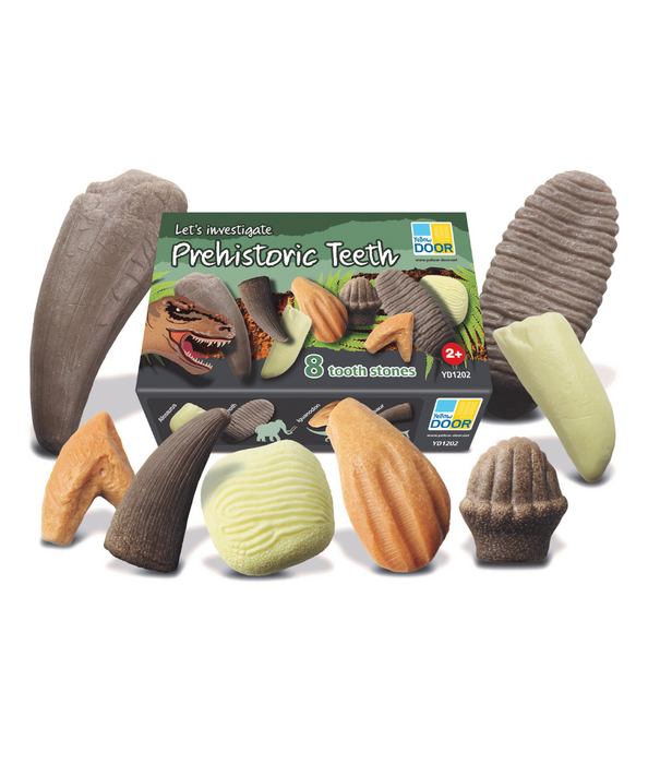 Yellow Door Yellow Door - Prehistorische Tanden (8-delig)