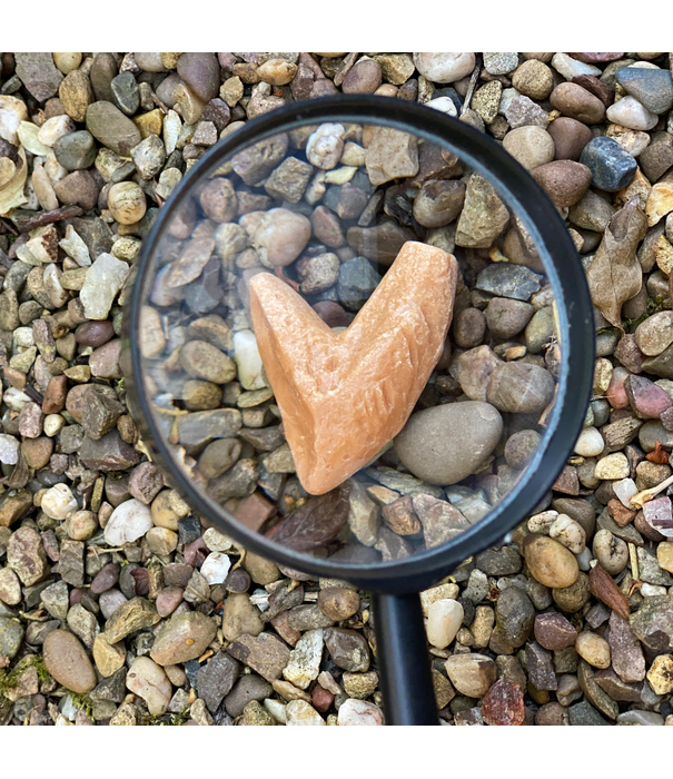 Yellow Door Yellow Door - Prehistorische Tanden (8-delig)