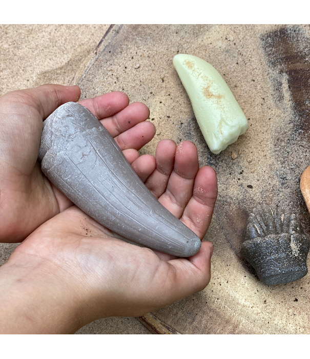 Yellow Door Yellow Door - Prehistorische Tanden (8-delig)