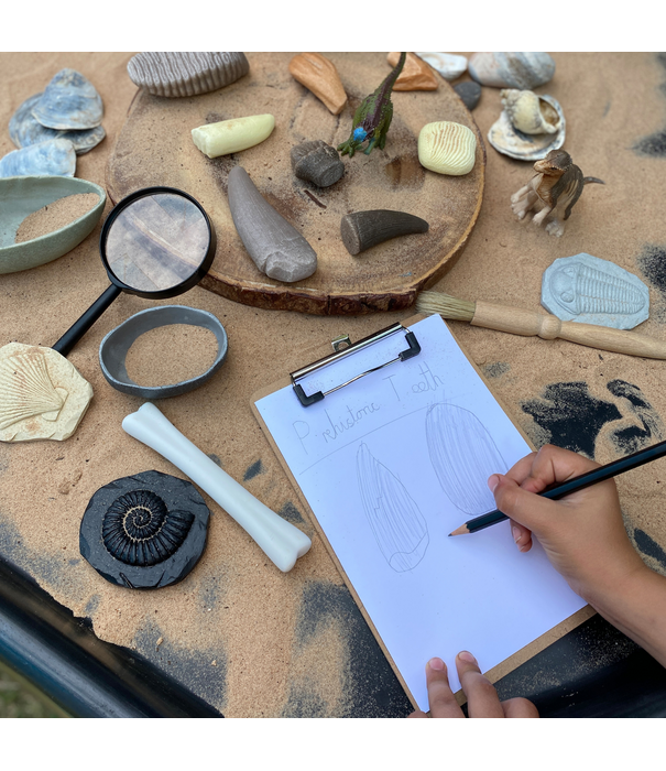 Yellow Door Yellow Door - Prehistorische Tanden (8-delig)