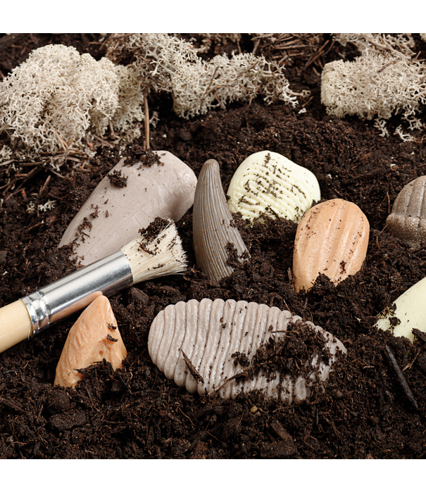 Yellow Door Yellow Door - Prehistorische Tanden (8-delig)