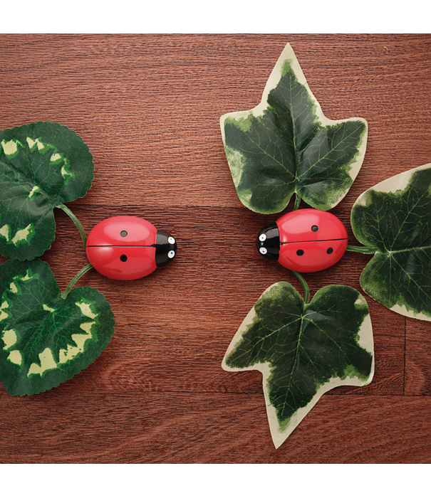 Yellow Door Yellow Door - Telstenen Lieveheersbeestjes (11-delig)