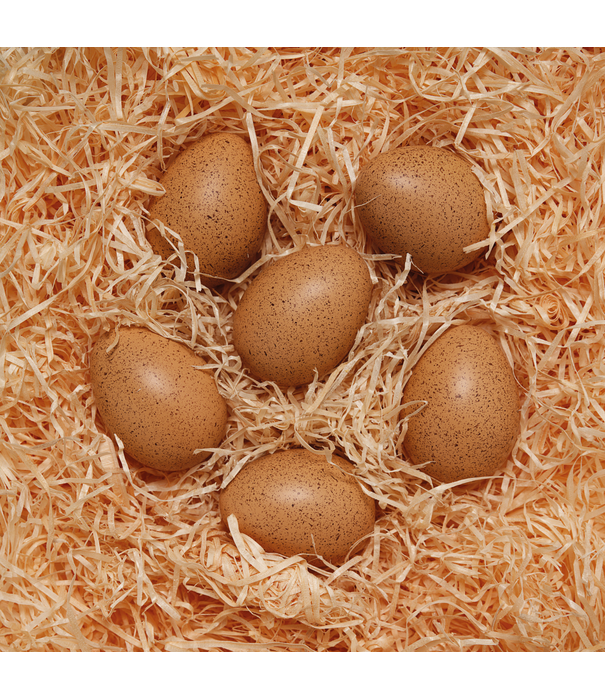 Yellow Door Yellow Door - Sensorische Ei Shakers (6-delig)