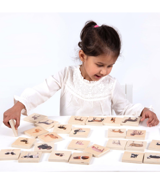 TickiT Tickit - Houten Dieren Match Spel (28-delig)