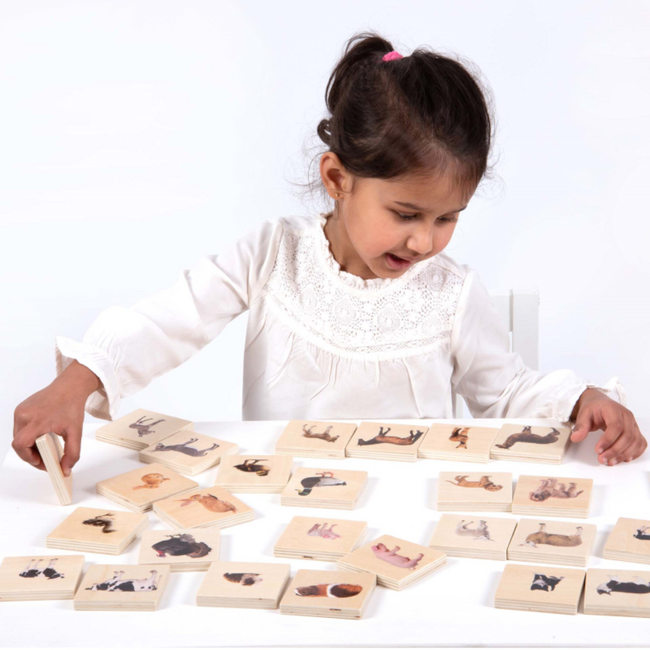 Tickit - Houten Dieren Match Spel (28-delig)