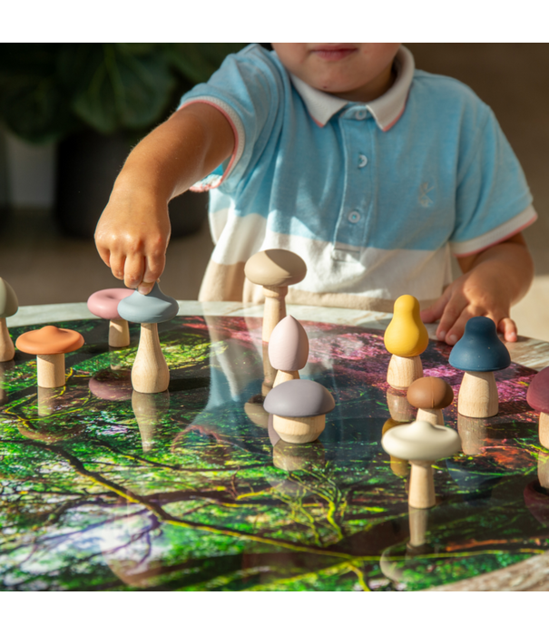 TickiT Tickit - Paddenstoelen Set (12-delig)