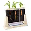 Guidecraft Ontdek Plantenbak