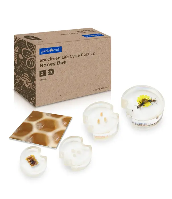 Guidecraft Guidecraft - Specimen Levenscyclus Puzzel Honingbij (4-delig)