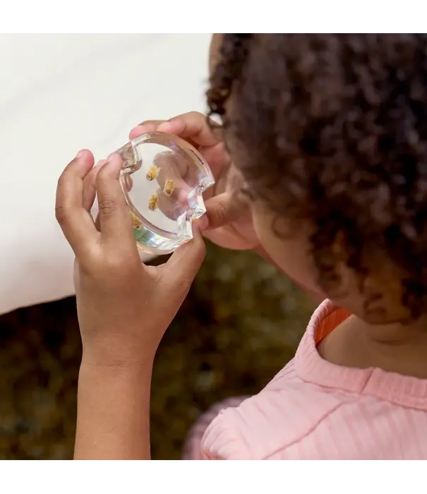 Guidecraft Guidecraft - Specimen Levenscyclus Puzzel Honingbij (4-delig)