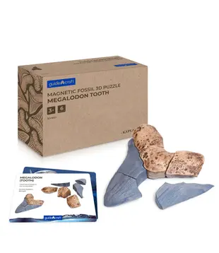 Magnetische 3D Puzzel Haaientand (6-delig)