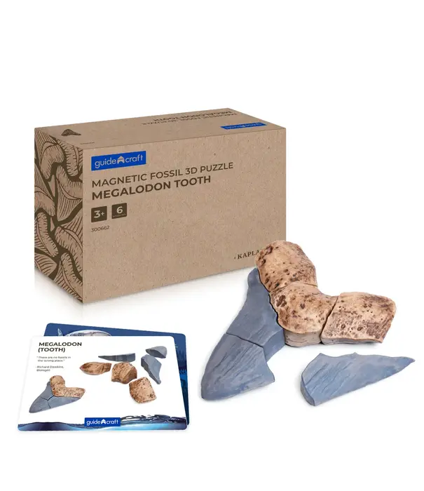 Guidecraft Guidecraft - Magnetische 3D Puzzel Haaientand (6-delig)