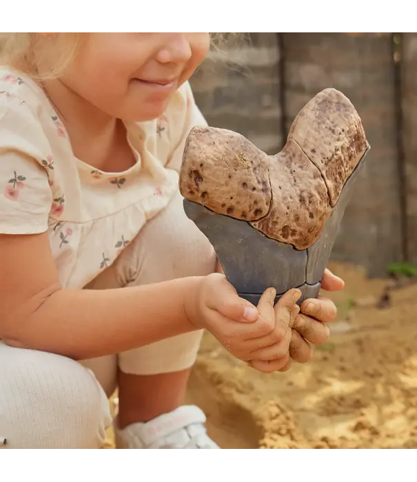 Guidecraft Guidecraft - Magnetische 3D Puzzel Haaientand (6-delig)