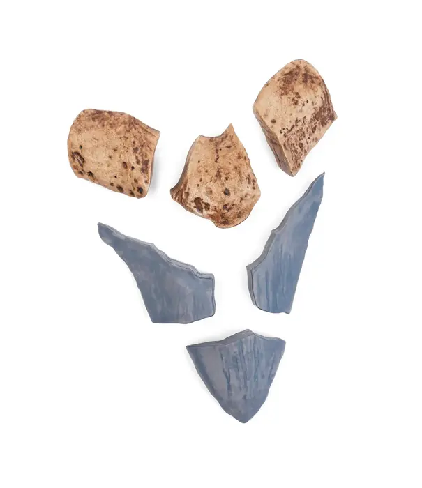 Guidecraft Guidecraft - Magnetische 3D Puzzel Haaientand (6-delig)