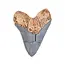Guidecraft - Magnetische 3D Puzzel Haaientand (6-delig)