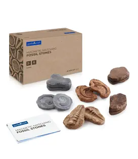 Magnetische Match Fossielen  (12-delig)