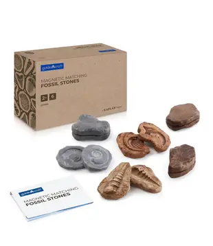 Magnetische Match Fossielen  (12-delig)
