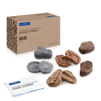 Guidecraft Magnetische Match Fossielen  (12-delig)