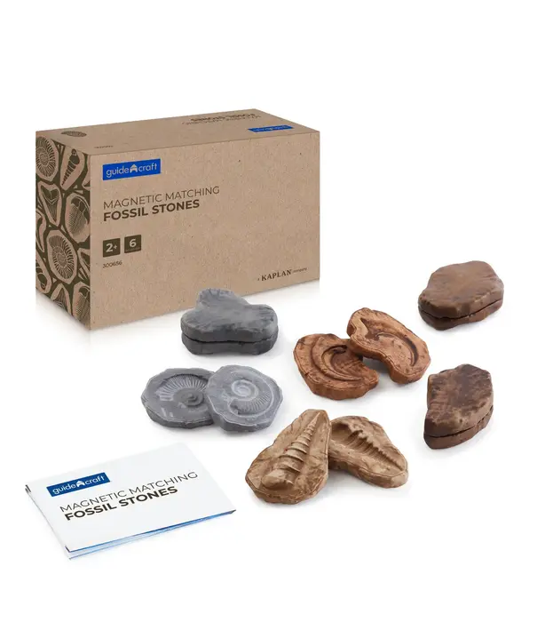 Guidecraft Guidecraft - Magnetische Match Fossielen  (12-delig)