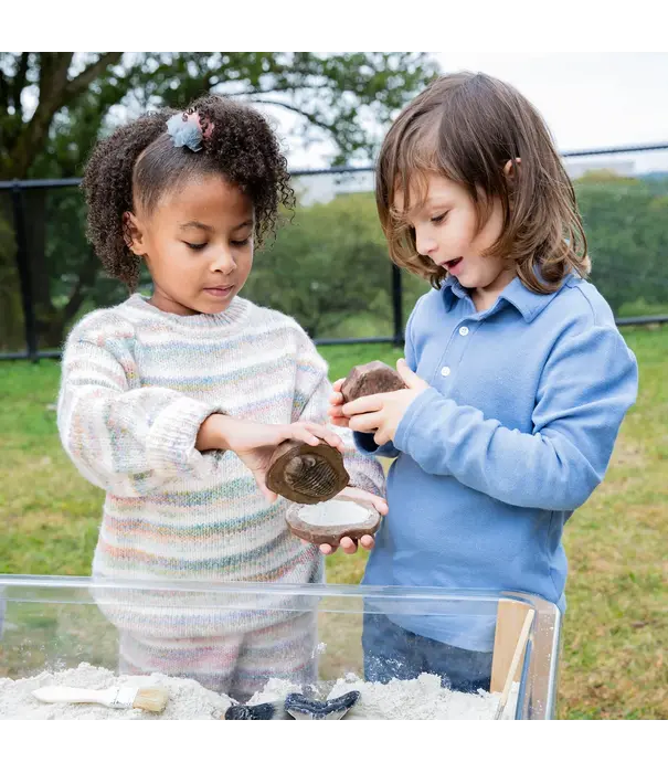 Guidecraft Guidecraft - Magnetische Match Fossielen  (12-delig)